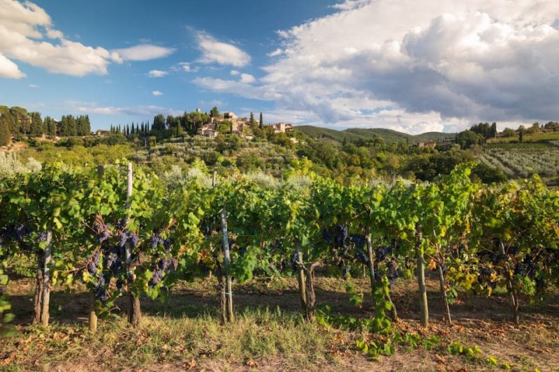 Chianti-vin-tur