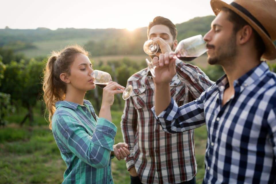 Chianti-vin-tur