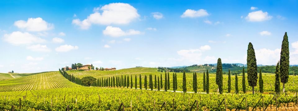 Den beste vinturen i Firenze 2026