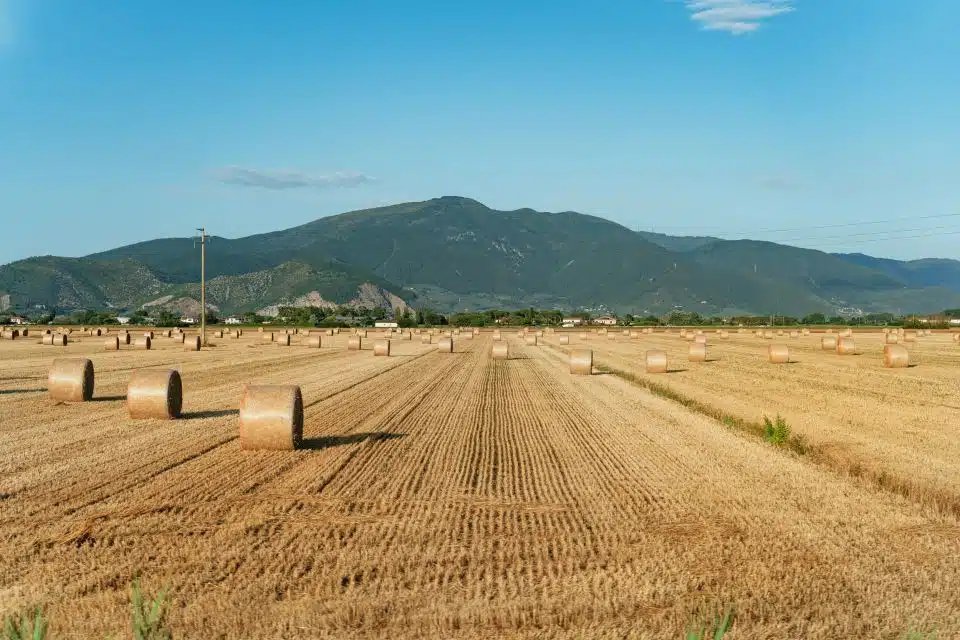 Excursión de un día a la Toscana desde Florencia 2026