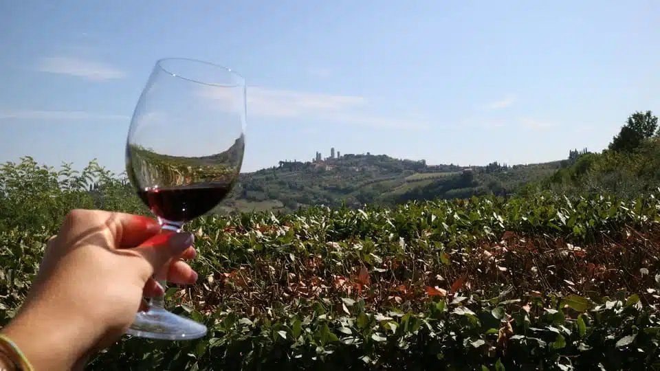 Excursión de un día a la Toscana desde Florencia 2026