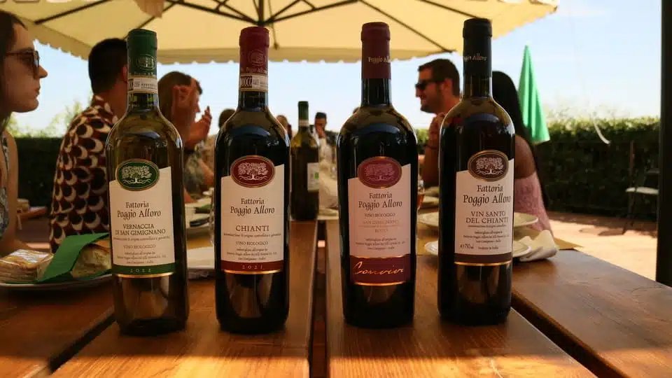 Excursión de un día a la Toscana desde Florencia 2026