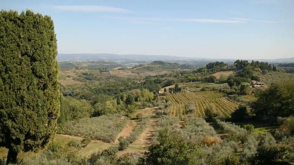 Excursión de un día a la Toscana desde Florencia 2026